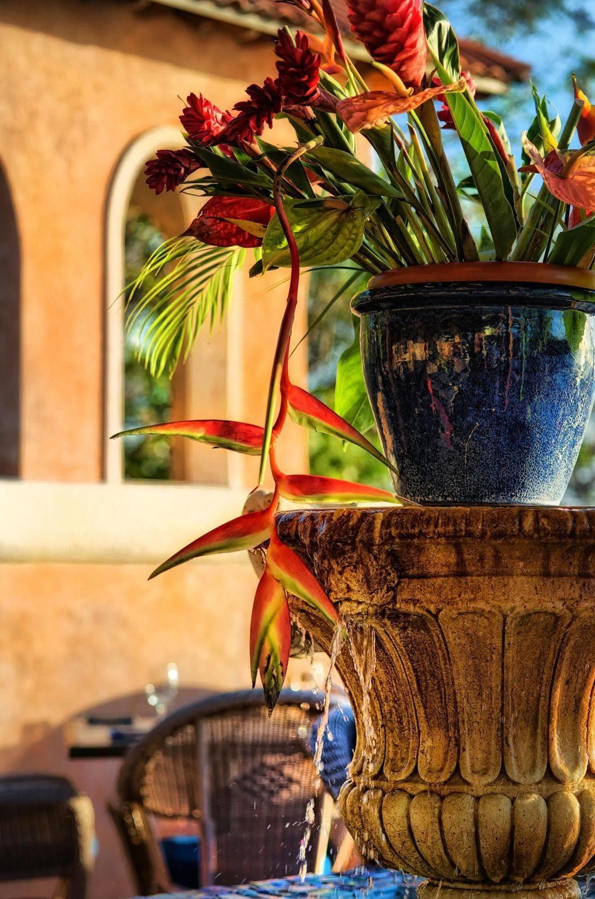 Little Arches Boutique Hotel - Adults Only Oistins المظهر الخارجي الصورة